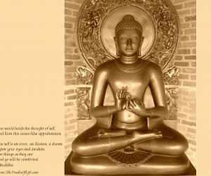 ���������۶��ľ�