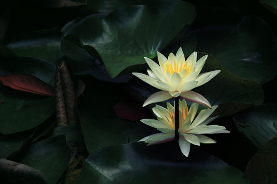 ��Ǯ��ĺ���