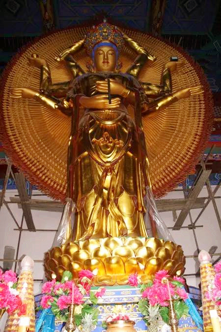 2016���մ�ʦԲ���չ�����������