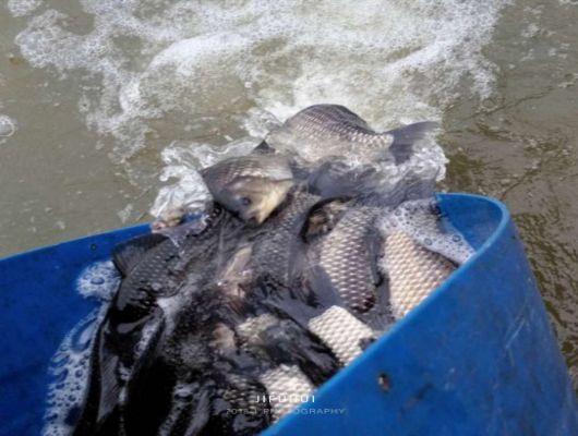 ���գ������������������ʮ���ڷ������ᣡ��ϲ�μӣ�