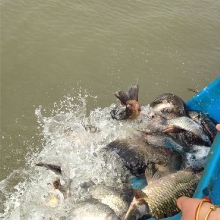 10��1�ջ����������������ʮ������ȼ�Ʒ�ʥ���������ᣡ��ϲ�μӣ�