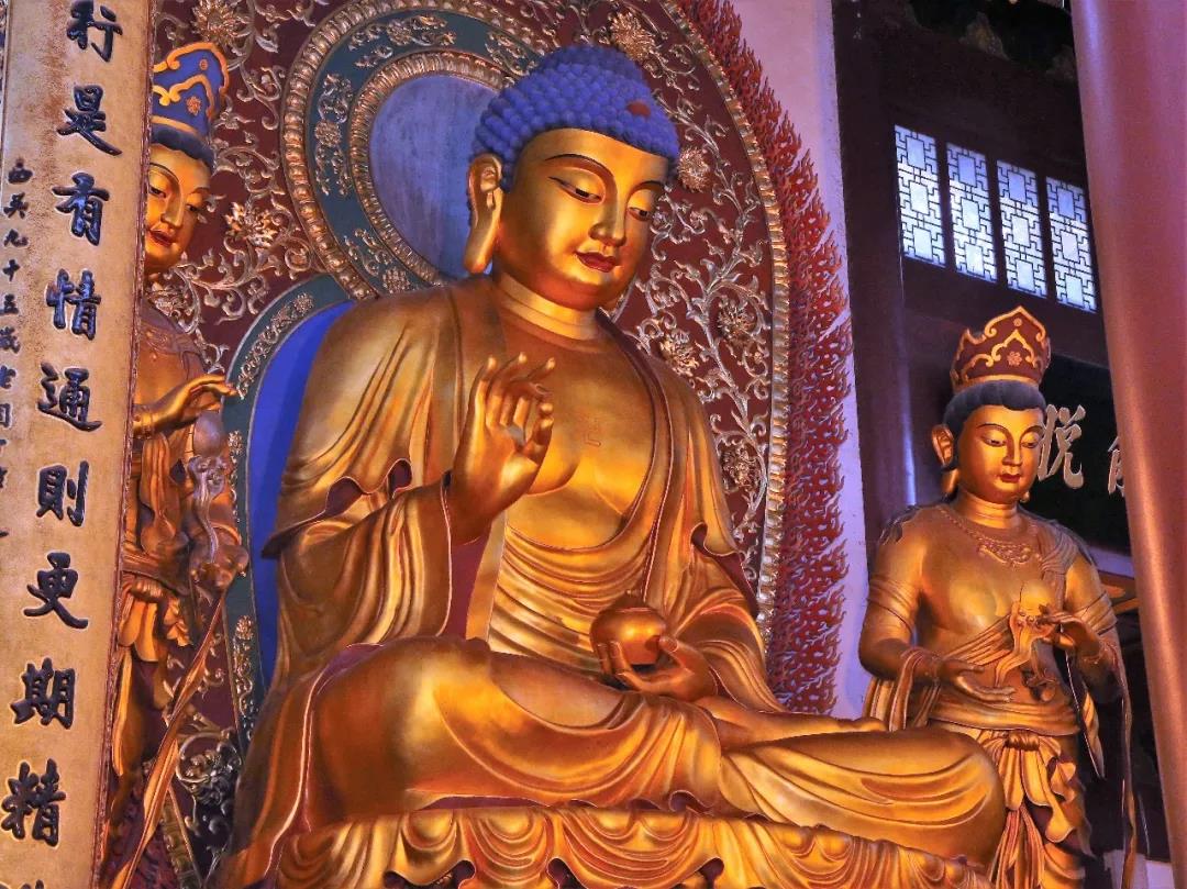 ���չ�ӭҩʦ��ʥ������Ը�����������ѣ��������٣�