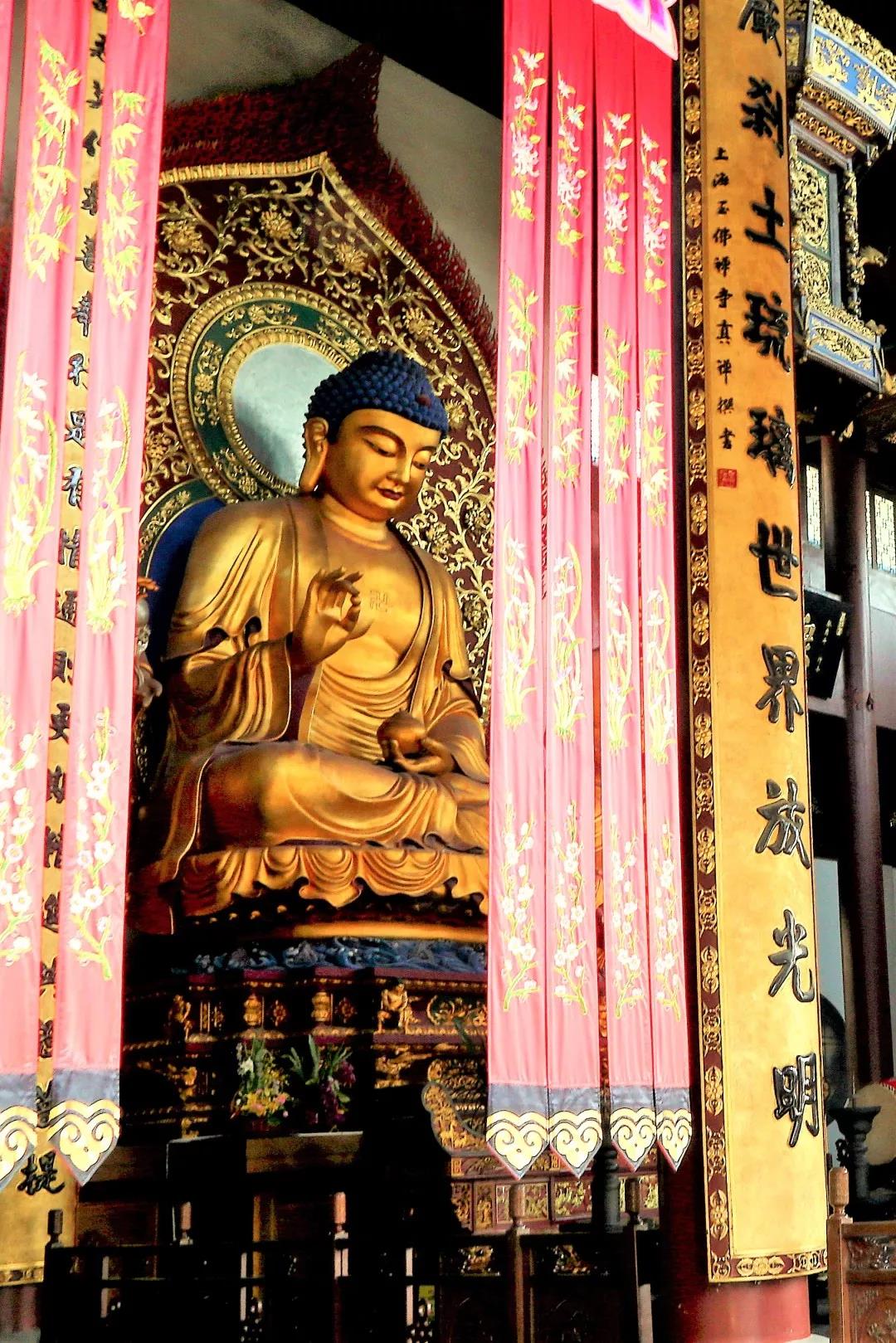 ���չ�ӭҩʦ��ʥ������Ը�����������ѣ��������٣�