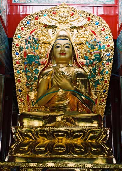 明日燃灯节!积福慧供灯共修正在进行中…… 明日燃灯节!积福慧供灯共修正在进行中……