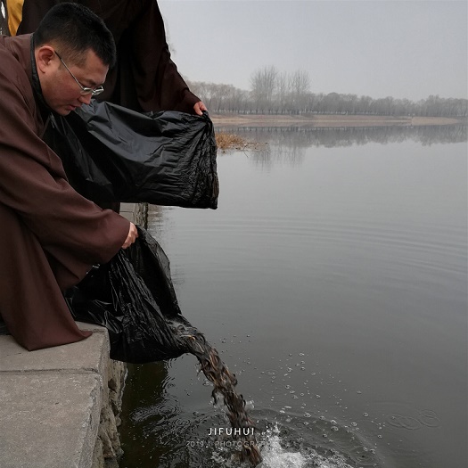 明日,积福慧启建己亥年释迦牟尼佛涅槃日暨第二期放生法会!随喜参加! 明日,积福慧启建己亥年释迦牟尼佛涅槃日暨第二期放生法会!随喜参加!