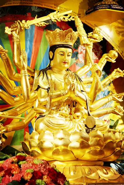 明日准提菩萨圣诞!积福慧供灯共修正在进行中…… 明日准提菩萨圣诞!积福慧供灯共修正在进行中……