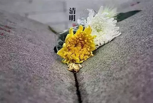 今日清明_|_感怀亲恩,让我们为历代宗亲祈愿! 今日清明_|_感怀亲恩,让我们为历代宗亲祈愿!
