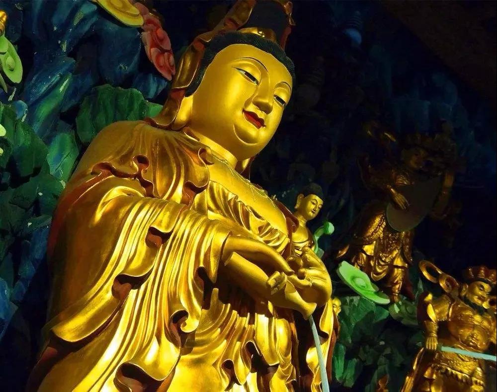 ���չ�ӭ�����������ɵ��գ�����������������������٣�