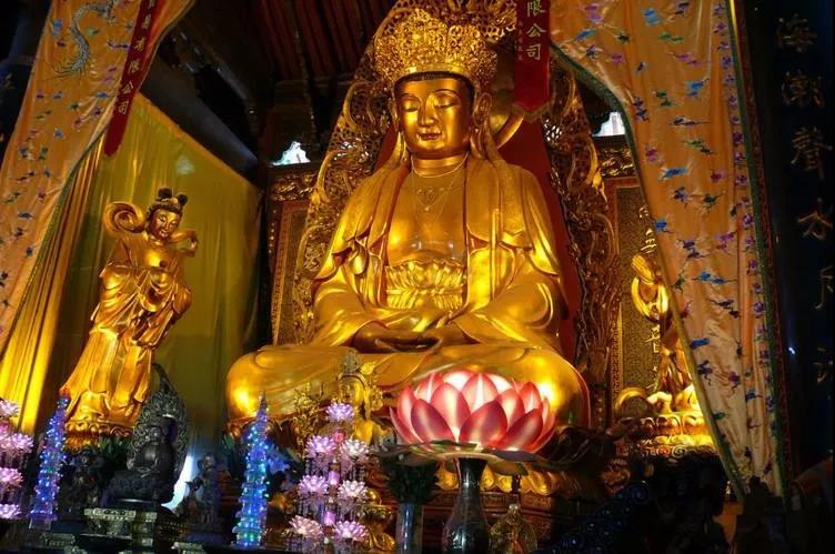 ���չ�ӭ�����������ɵ��գ�����������������������٣�