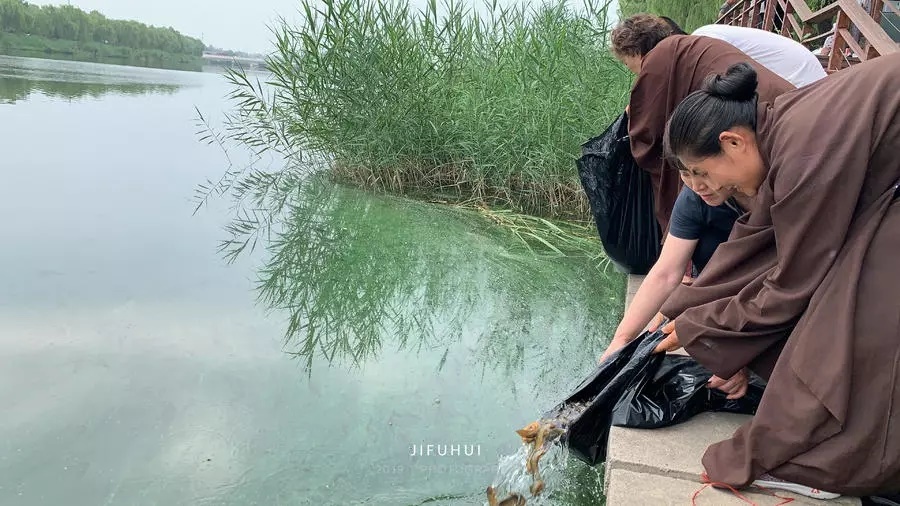 明日,积福慧启建己亥年第十四期放生法会!随喜参加! 明日,积福慧启建己亥年第十四期放生法会!随喜参加!