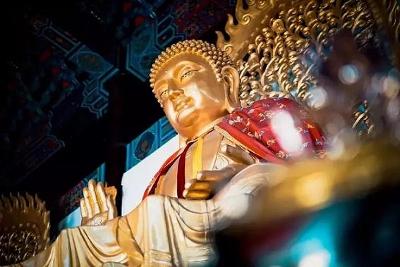 迎新年暨释迦牟尼佛成道日!积福慧供灯共修正在进行中…… 迎新年暨释迦牟尼佛成道日!积福慧供灯共修正在进行中……