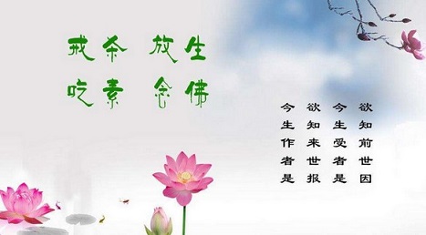 佛教电影,佛教音乐,念佛,抄经,佛教在线,江浙佛教网, - 佛教