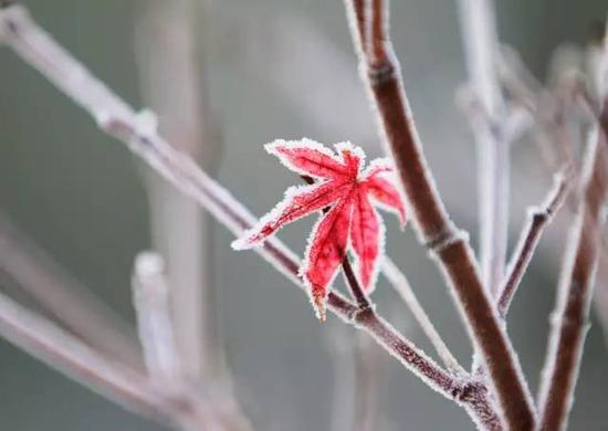 ����ʵ���Ͼ��ǵ����Լ���Ҫ���Լ������İ�ס����