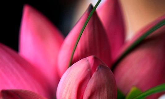 ����������˵�ԩ��ծ�����Ƿ��������ҵ��