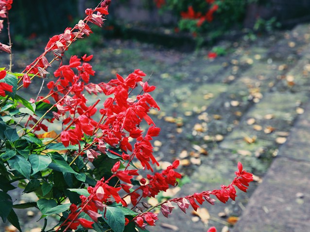 ���ʱ�䱻ռ���ˣ�������ҵ�Ƿ�Ҫ������������