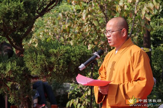 ���ݴ���ɽ������