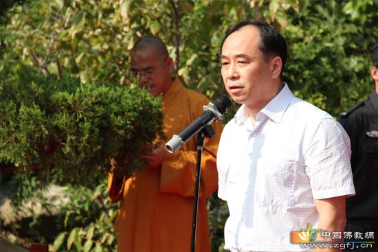 ���ݴ���ɽ������