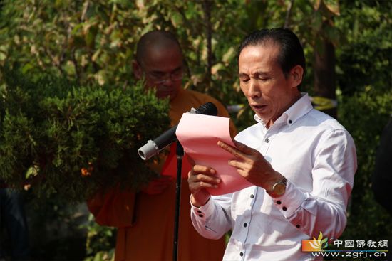 ���ݴ���ɽ������