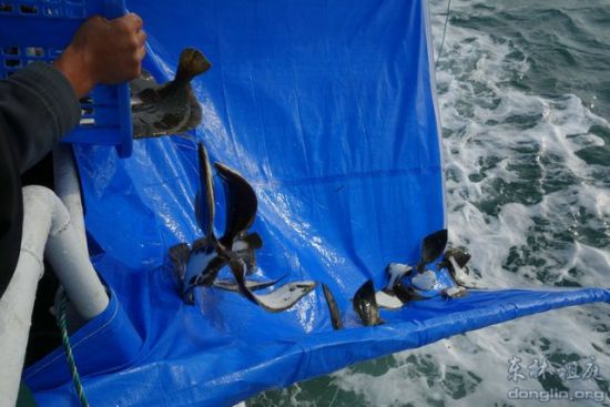 Ϊ��ֹ��������ˮ�ܾ��ţ��ù⻬�����������ˮ