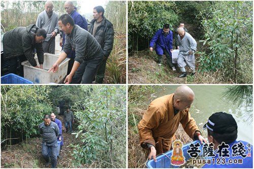 �����ֳ�