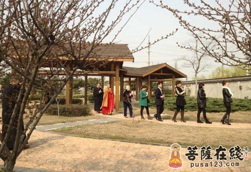 ������ʽ