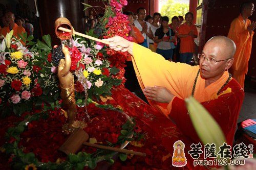 ԡ������