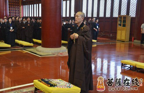 ��ʦ����