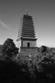 ���������һҳ