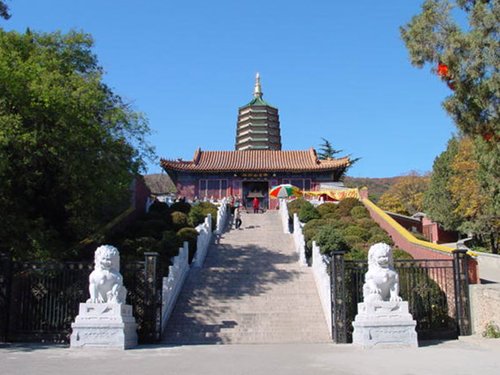 �����˴�ɹ�����״������� 1800������ɹ