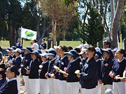 ���������һҳ