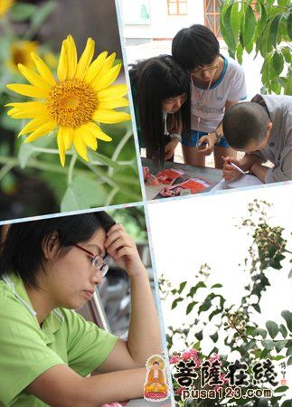 ��Ӫ���� 