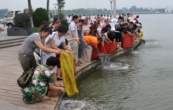 �������´������ͼƬ