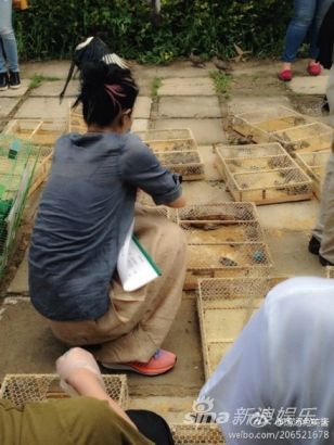 �������շ������������