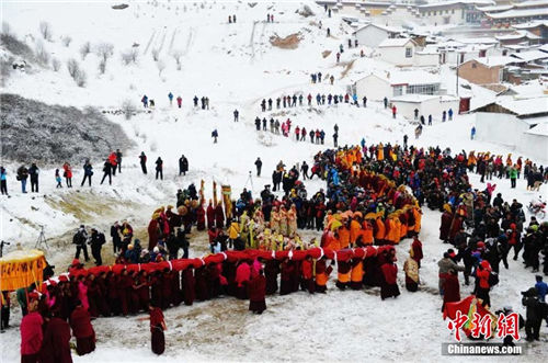 ������ľ�¾���ʢ��ɹ���