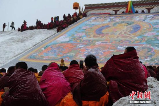 ������ľ�¾���ʢ��ɹ���