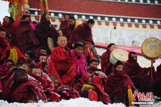 ������ľ�¾���ʢ��ɹ���