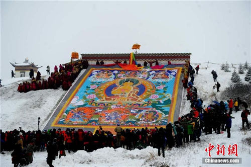 ������ľ�¾���ʢ��ɹ���