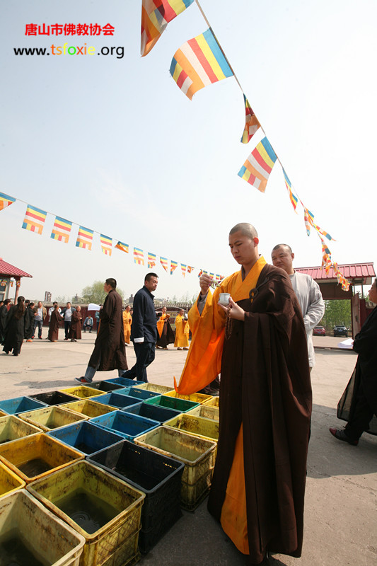 �������� �����ޱ�--���۳���ʾ������׷˼����