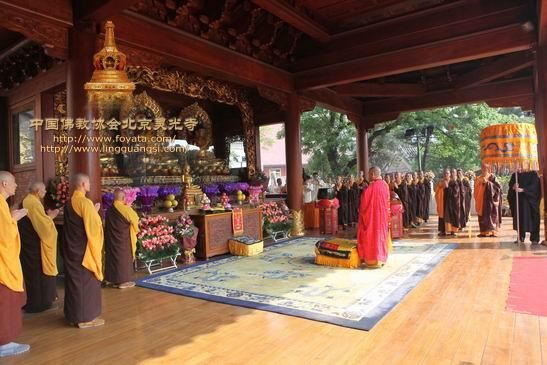 ���ش������������