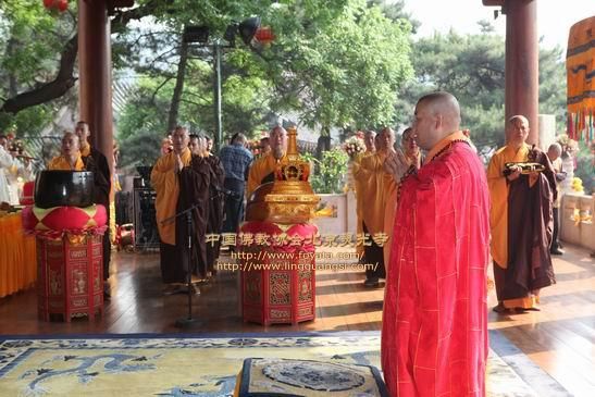 ���ش������������