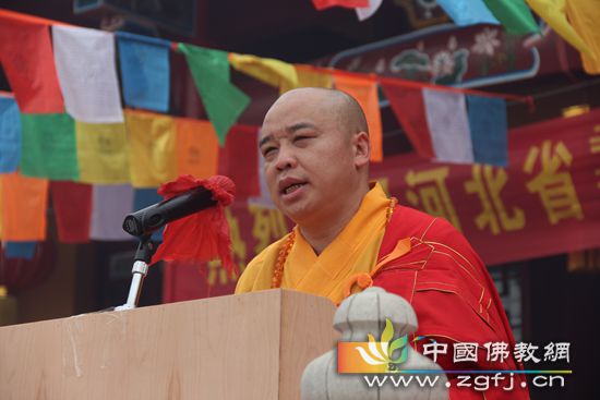 �ӱ�����̧ͷ����