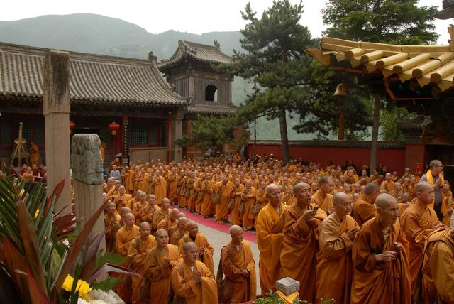 ׯ�ϵ�׷�������ֳ�