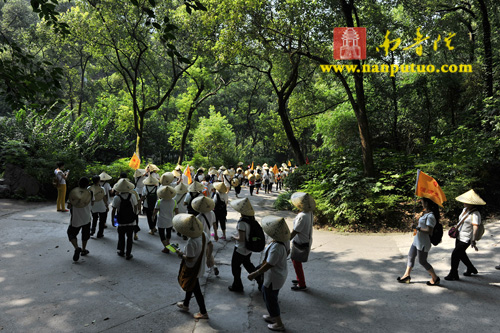 ���ŷ������