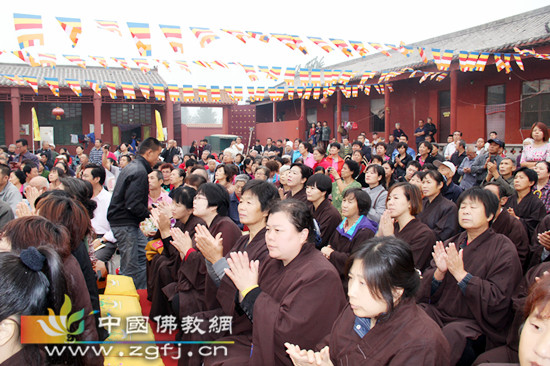 ʯ��ׯ޻������̨��