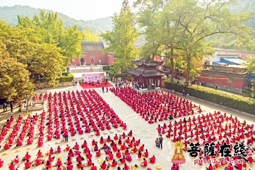 历届禅修活动