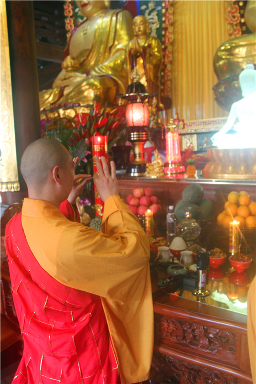 ���ŷ������