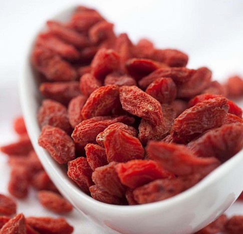 枸杞泡水有五大好处.jpg