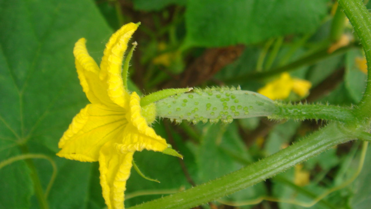 ����1����ϰ�� �ٵ���ļ���.jpg