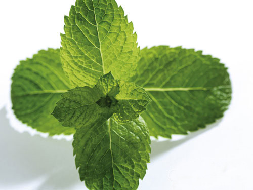 春节吃太多。 12种食物助消化.jpg